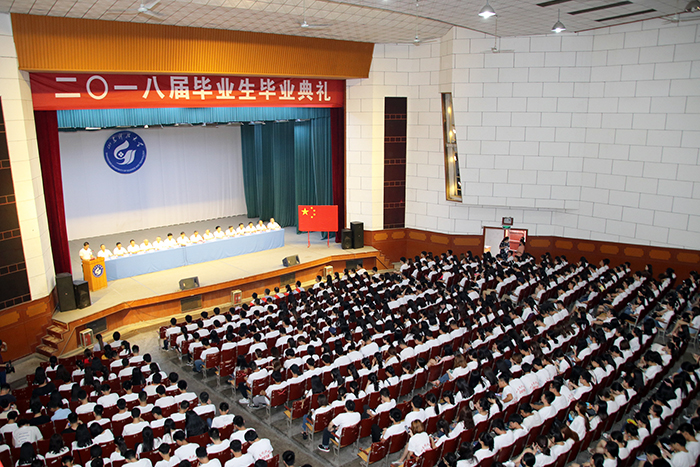 bv伟德国际体育
