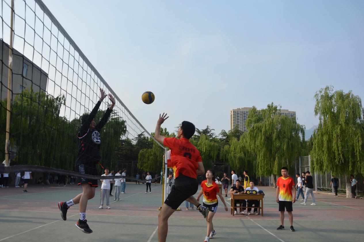 bv伟德国际体育