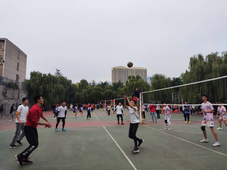 bv伟德国际体育