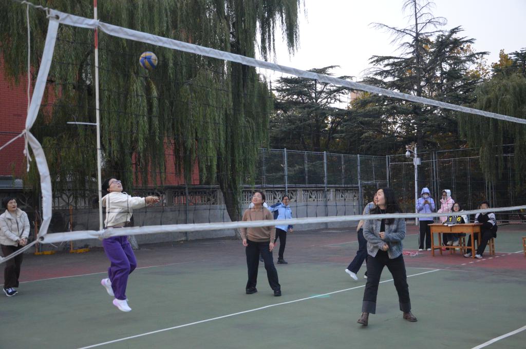 bv伟德国际体育