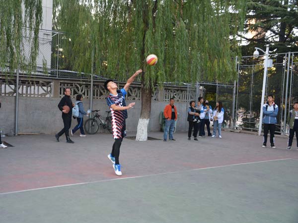 bv伟德国际体育