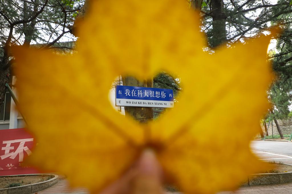 bv伟德国际体育