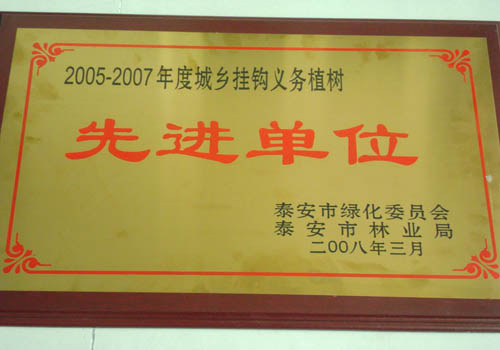 bv伟德国际体育