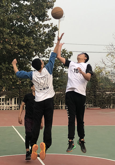 bv伟德国际体育