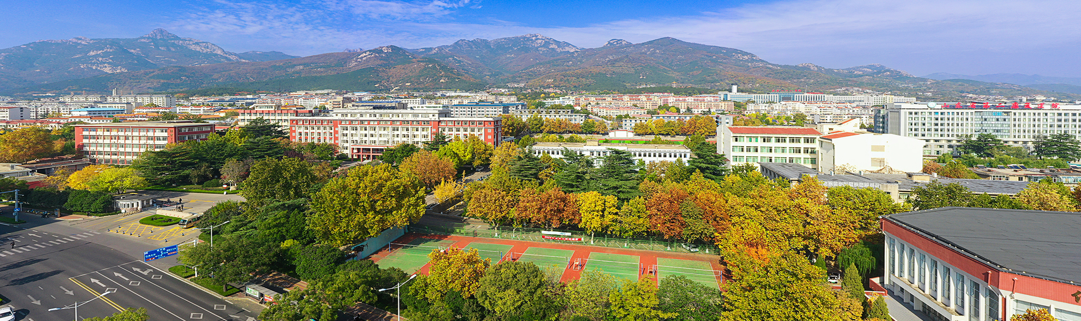 bv伟德国际体育