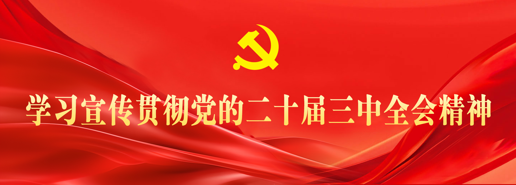 bv伟德国际体育