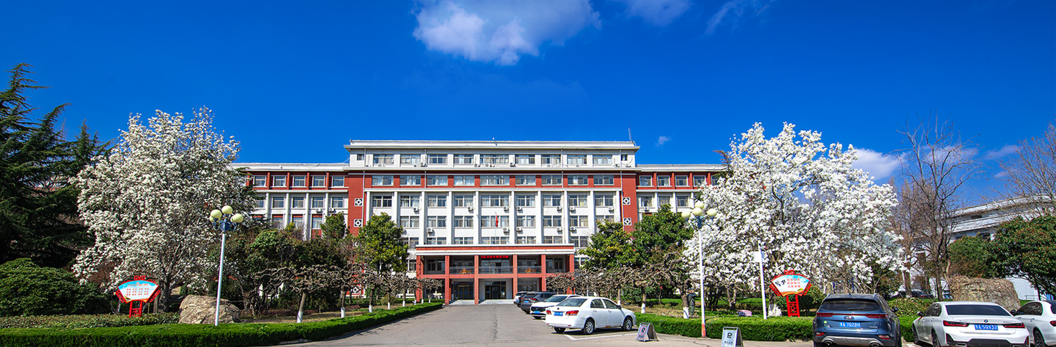 bv伟德国际体育